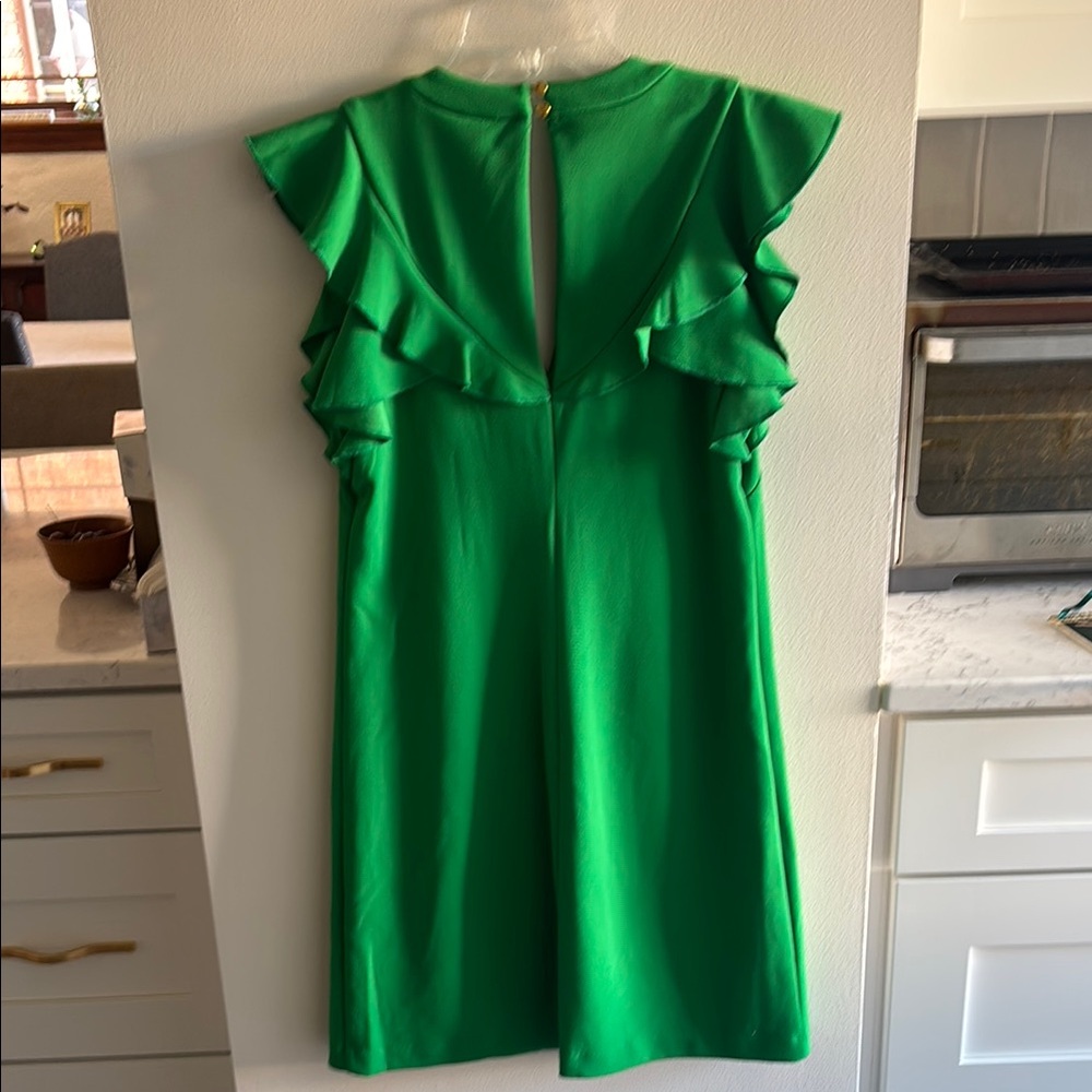 Vibrant Kelly Green Dress with Ruffle Sleeves - Picture 3 of 3